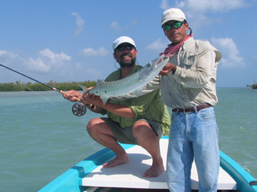Barracuda on Fly in Isla Blanca