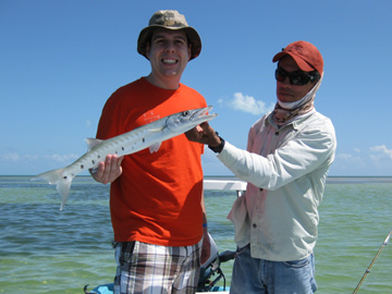 Isla Blanca Barracuda