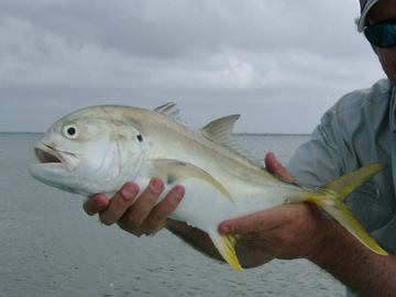 Isla Blanca Fishing Jacks