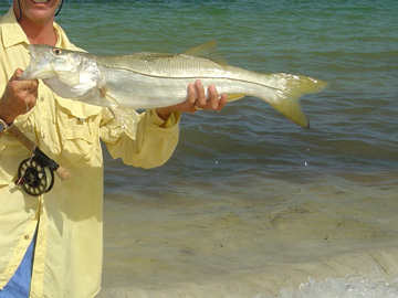 Cancun Mexico Snook Fishing